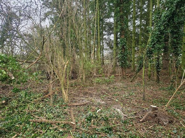 A small orange excavator digs up a grassy yard, with piles of earth and roots beside it. In the background, there's a large house with a red-tiled roof, conveying a scene of garden renovation.