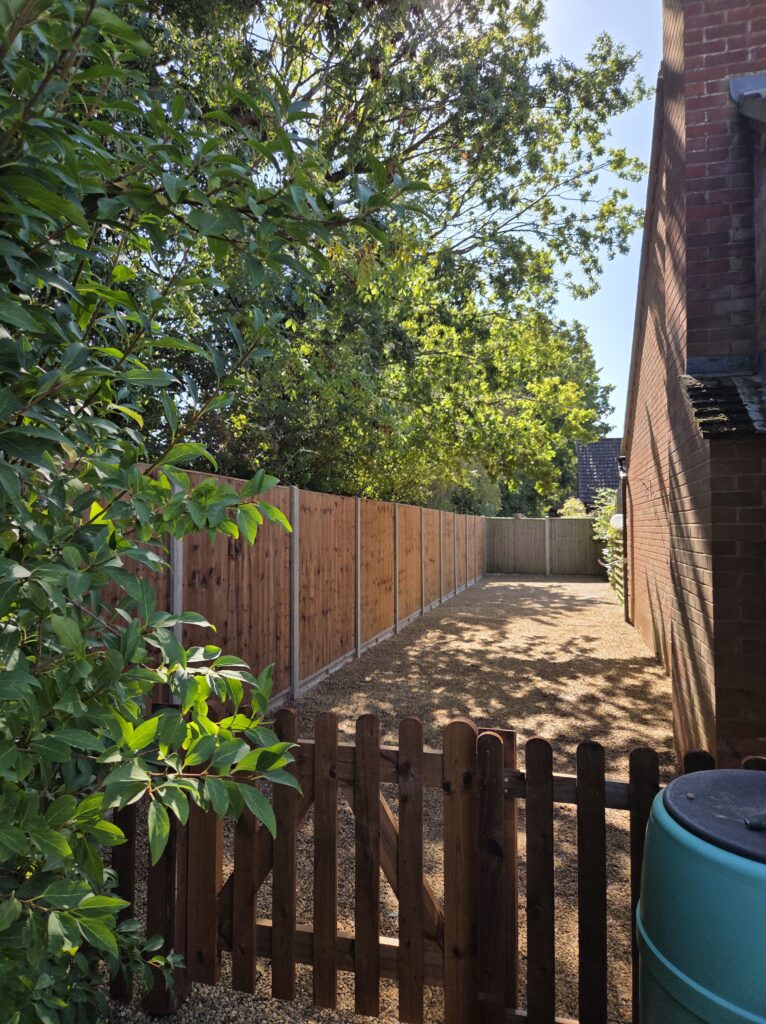 Garden Clearance And Fence Installation In Mattishall (4)