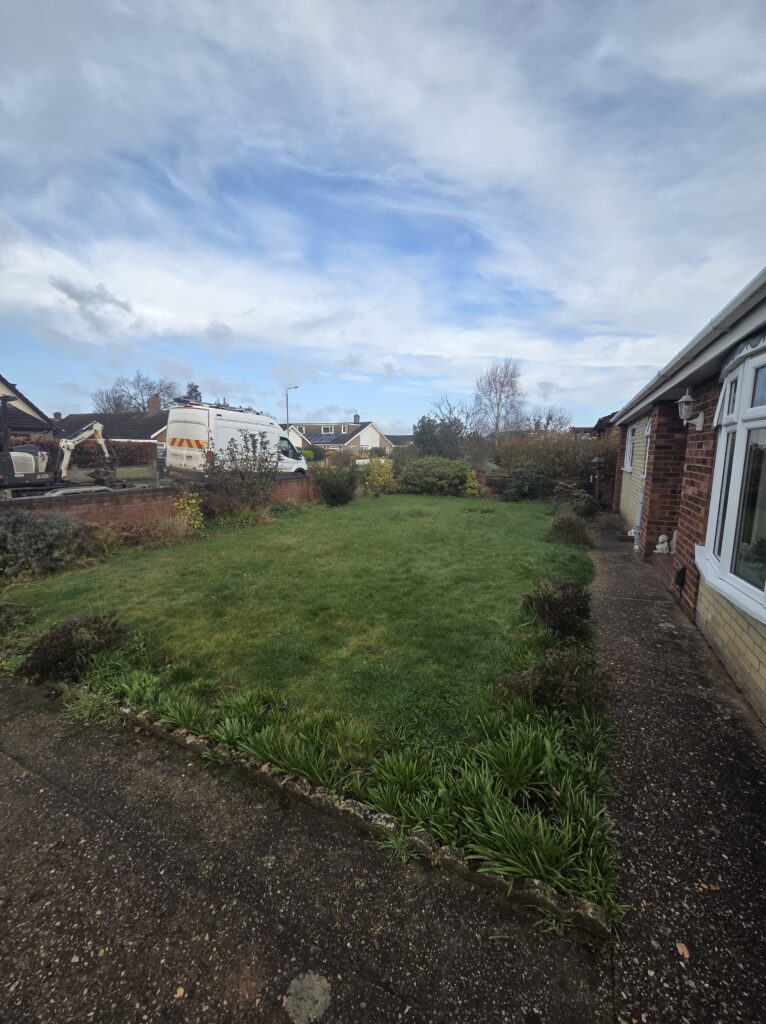 Driveway overgrown with grass